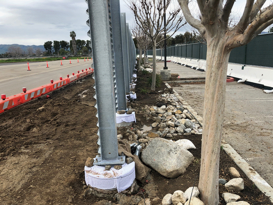 Week 8 picture 2